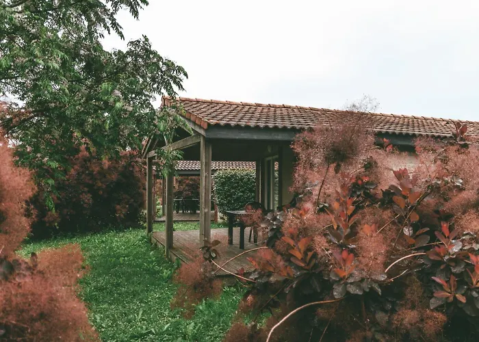 Parco vacanze Terres De France - Les Hameaux Des Lacs Monclar-de-Quercy